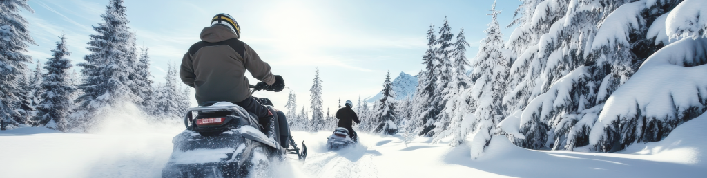 レクリエーショナル・ビークル